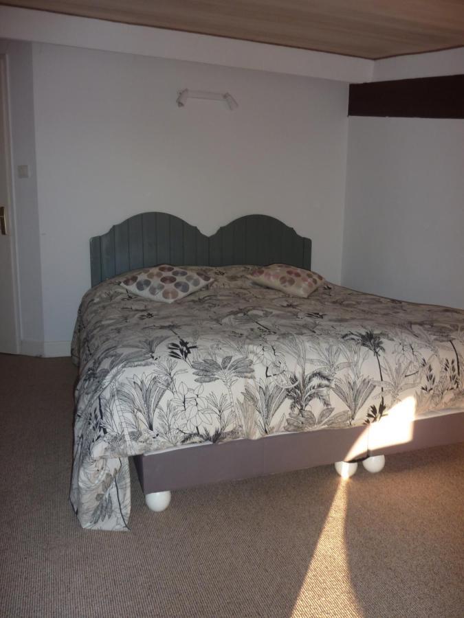 Beaux Chenes Bed & Breakfast Nérac Eksteriør bilde
