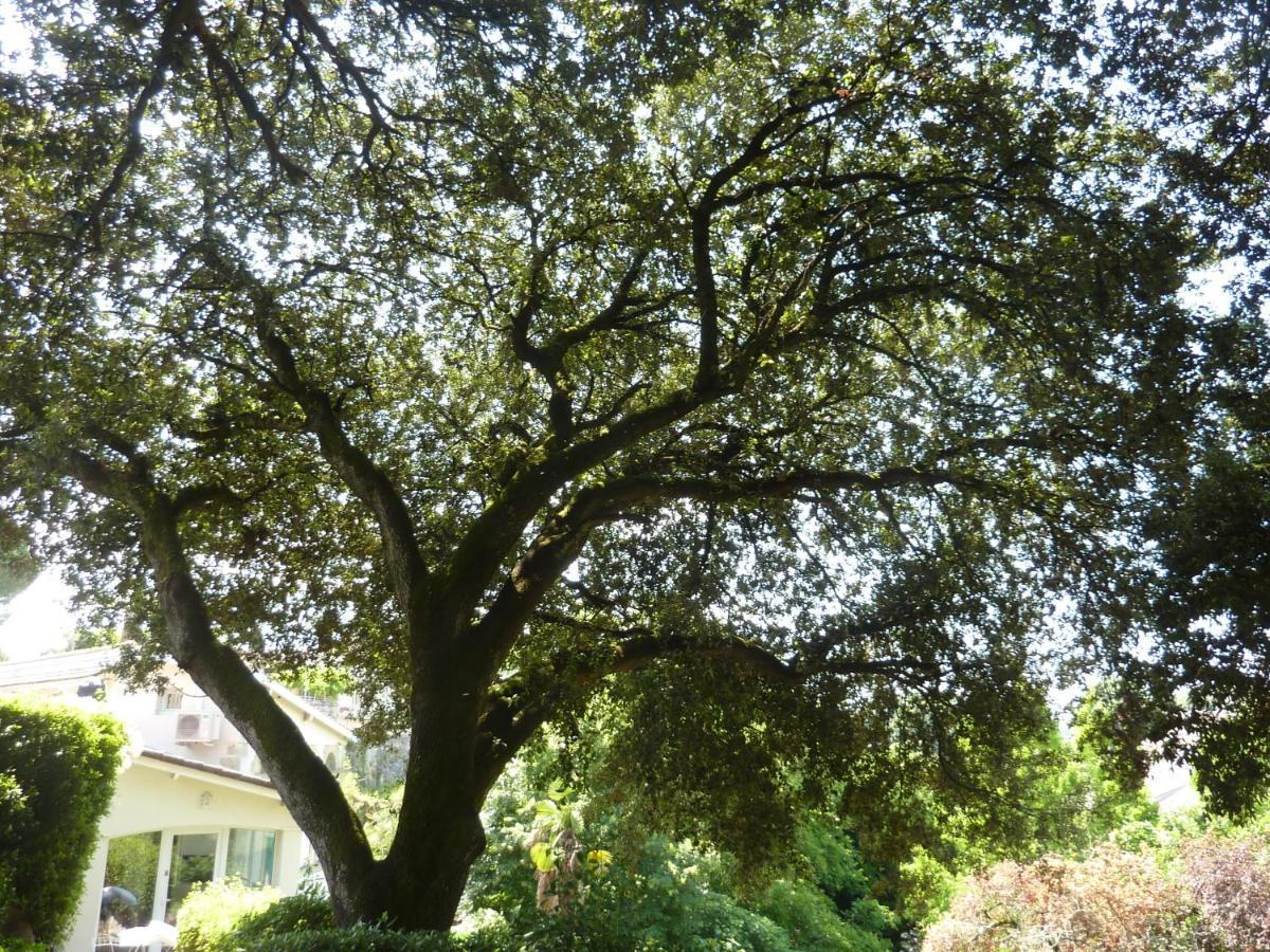 Beaux Chenes Bed & Breakfast Nérac Eksteriør bilde